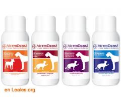 Vetriderm, el antialérgeno para Animales - Imagen 3