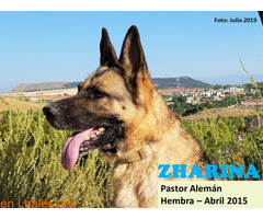 ZHARINA - Imagen 1