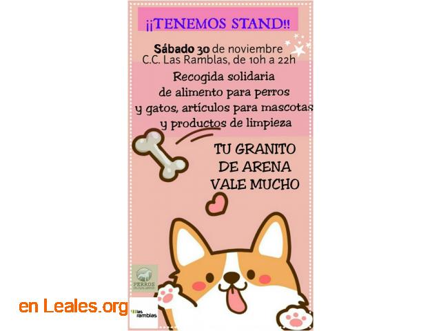 Stand en CC Las Ramblas - 1
