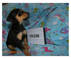 ERGON - Imagen 7