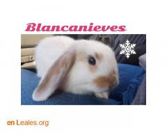 Blancanieves - Imagen 1