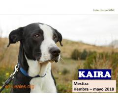 KAIRA - Imagen 2