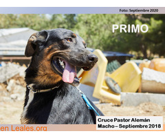PRIMO - Imagen 2