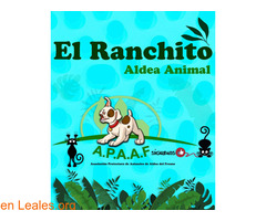 El Ranchito de Aldea Animal - Imagen 1