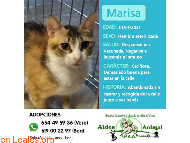 Marisa en adopción - 1