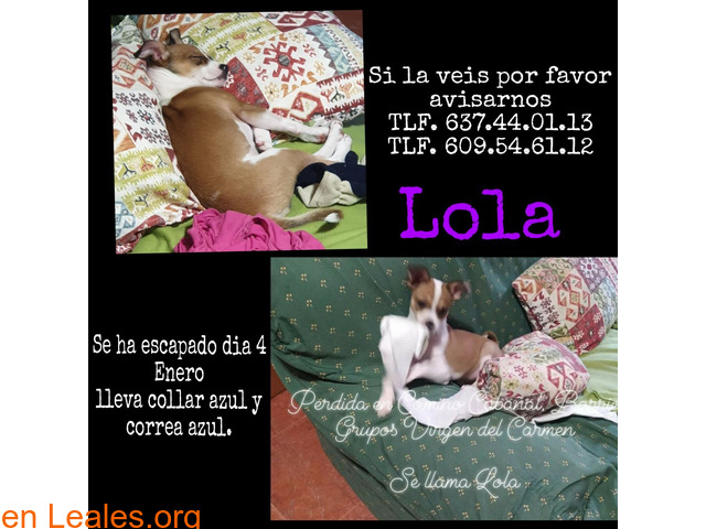 se ha perdido Lola - 1