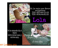 se ha perdido Lola - Imagen 1