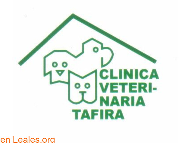 CLINICA VETERINARIA TAFIRA - 1