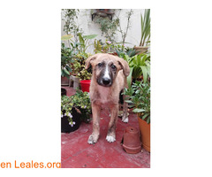 Luz busca familia