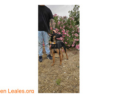 KYRA 2 años