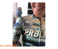 pulsar la foto / 2