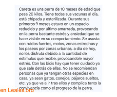 pulsar la foto / 2