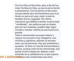 pulsar la foto / 3