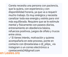 pulsar la foto / 4