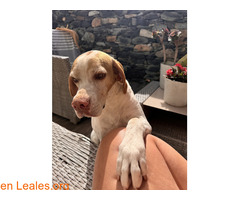 Perdidas en Los Castillos / 2