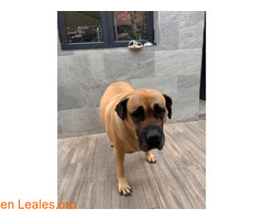 Perdidas en Los Castillos / 3