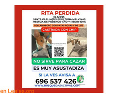 Perdida