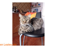 Encontrado / 1