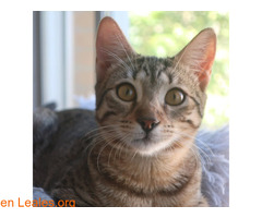 NATILLA (01/02/2025) / 2