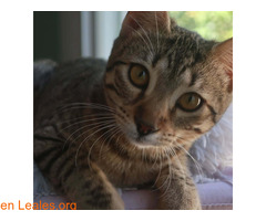 NATILLA (01/02/2025) / 4