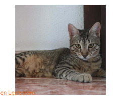 NATILLA (01/02/2025) / 7