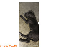 Encontrada / 1