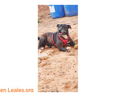 ¡Noelia busca familia! / 4