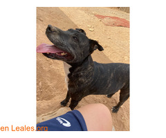 ¡Noelia busca familia! / 5