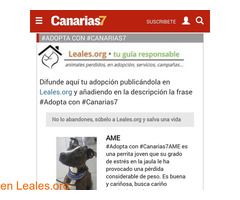 Publica tu adopción en Canarias7 - Imagen 1