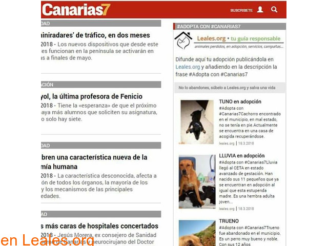 Publica tu adopción en Canarias7 - 2