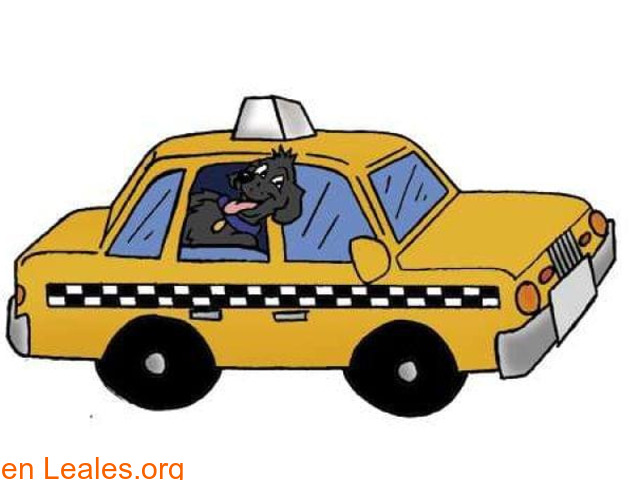 Taxi mascots - 1