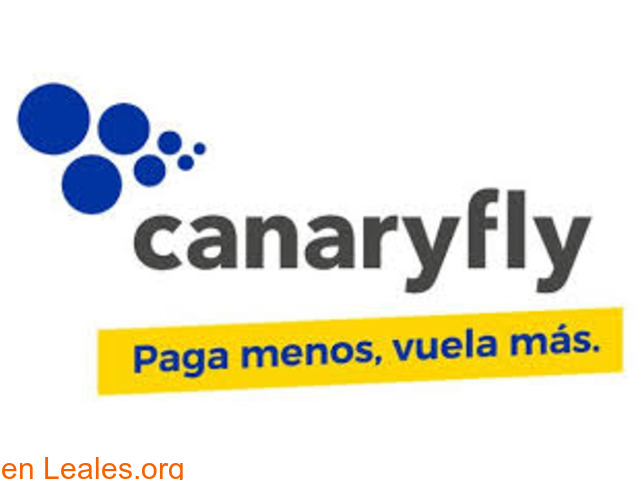 Canaryfly - 1