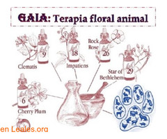 Gaia, terapia floral animal