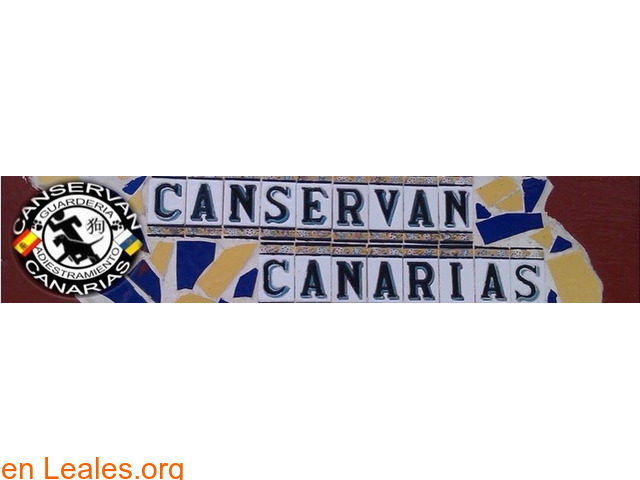 Canservancanarias - 1
