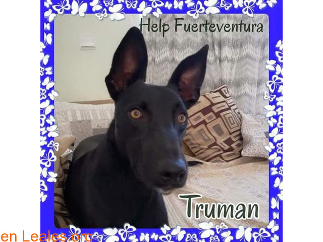 Truman - 1