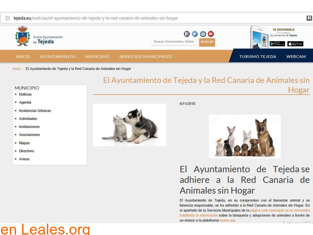Tejeda en la Red de Animales sin hogar - 2
