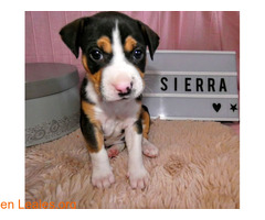 Sierra, la mejor medicina - Imagen 4