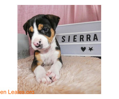 Sierra, la mejor medicina - Imagen 5